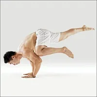 한 다리 학 1