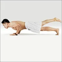 한 다리 차투랑가 자세